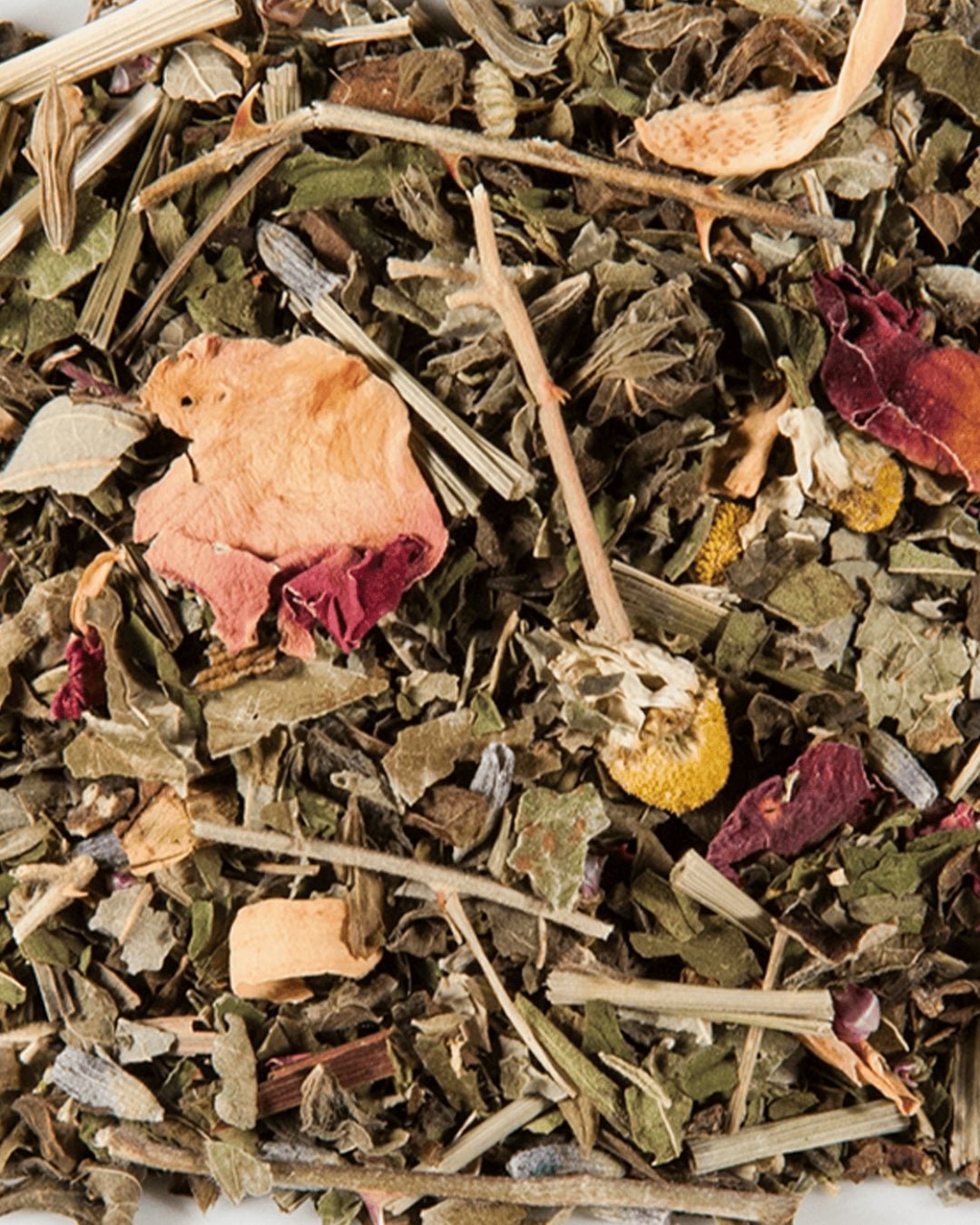 Coucher - THÉ - OLOGY