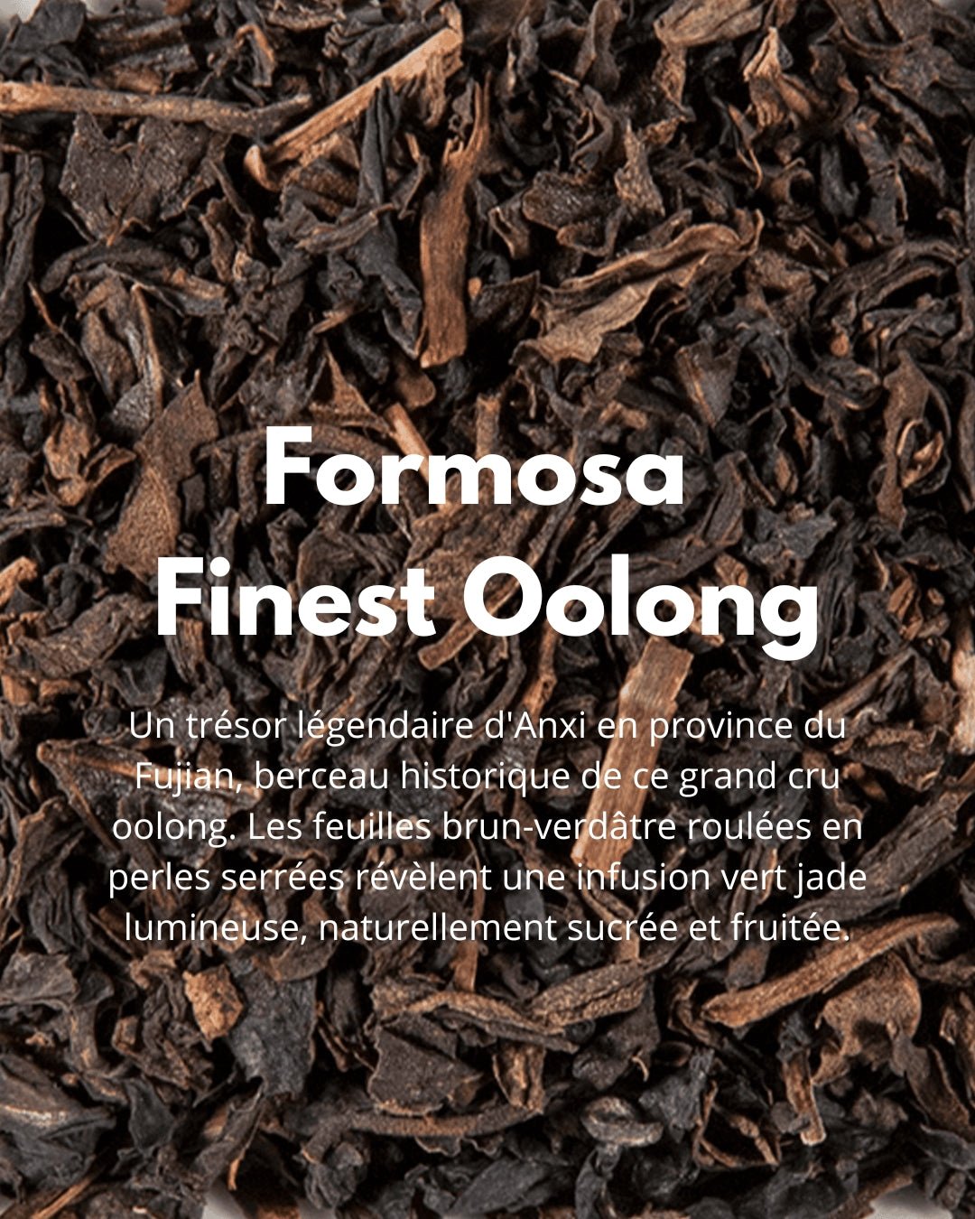 Formosa Finest Oolong - THÉ - OLOGY