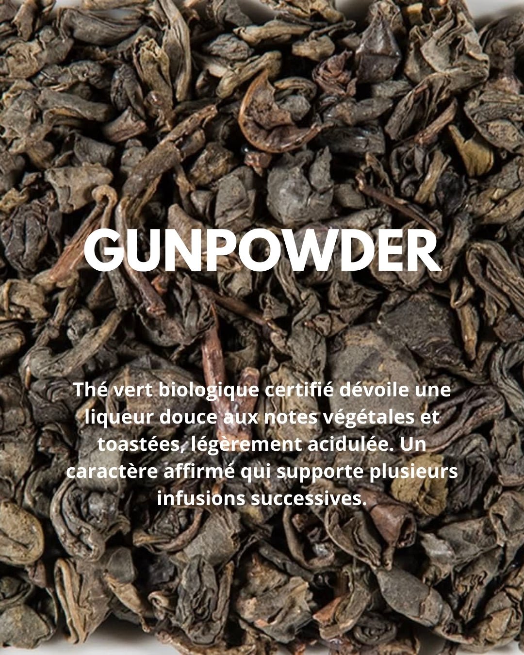 GUNPOWDER - THÉ - OLOGY