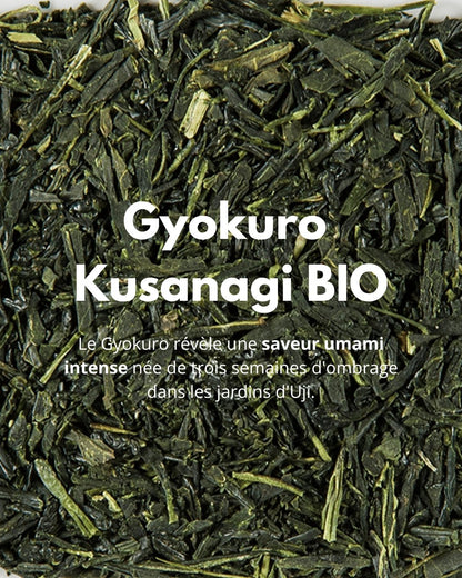 Gyokuro Kusanagi BIO - THÉ - OLOGY