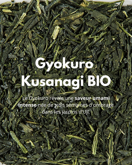 Gyokuro Kusanagi BIO - THÉ - OLOGY