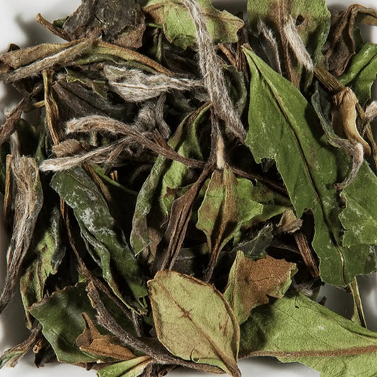 Tasse thé blanc Pai Mu Tan THE-OLOGY, liqueur cristalline, douceur fleurie, boisson raffinée, Chine﻿