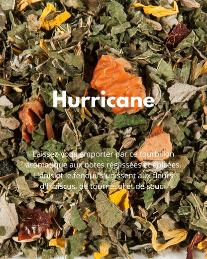 Hurricane - THÉ - OLOGY