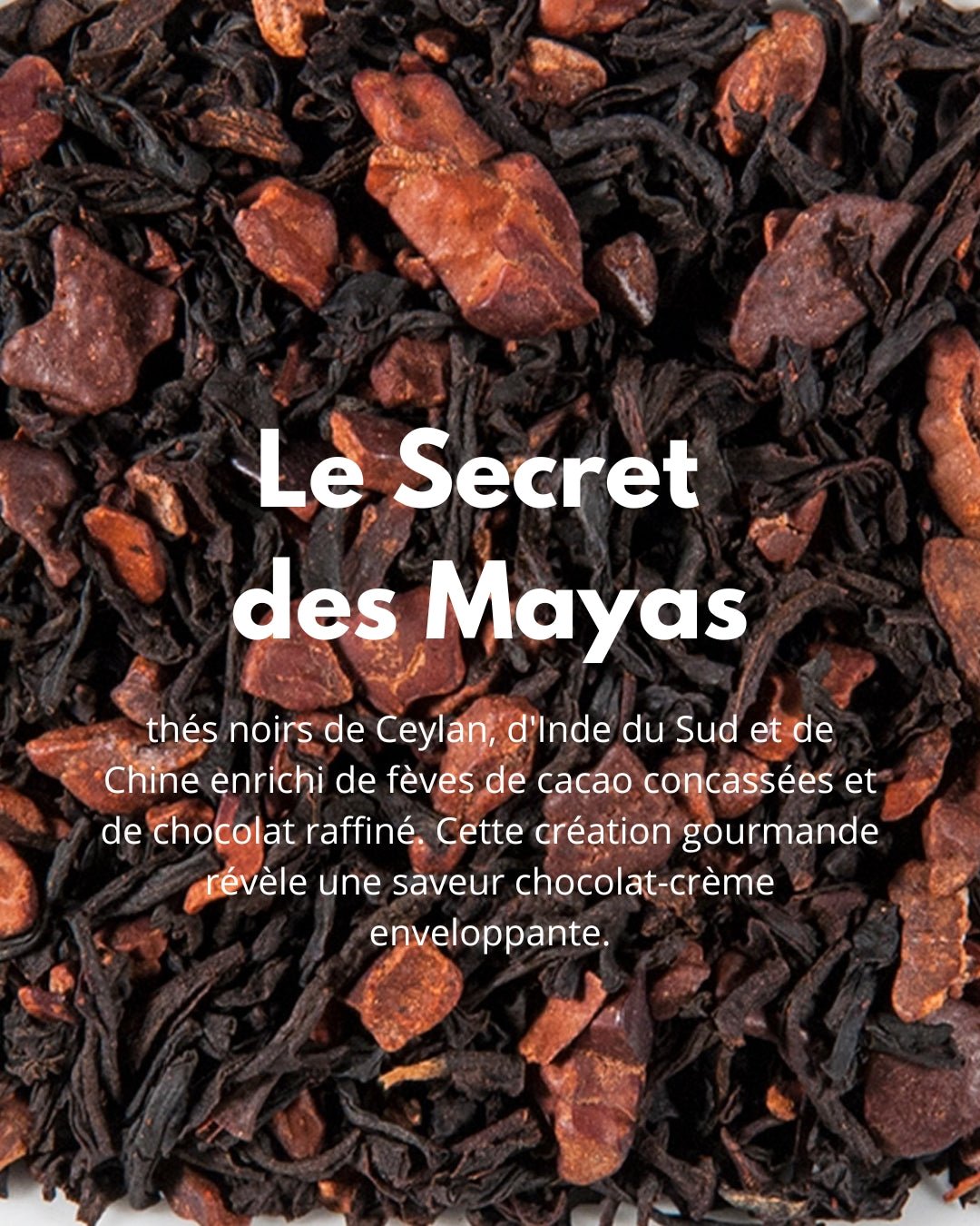 Le Secret des Mayas - THÉ - OLOGY