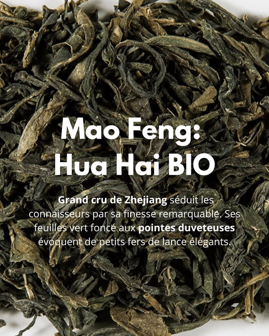 Mao Feng: Hua Hai BIO - THÉ - OLOGY