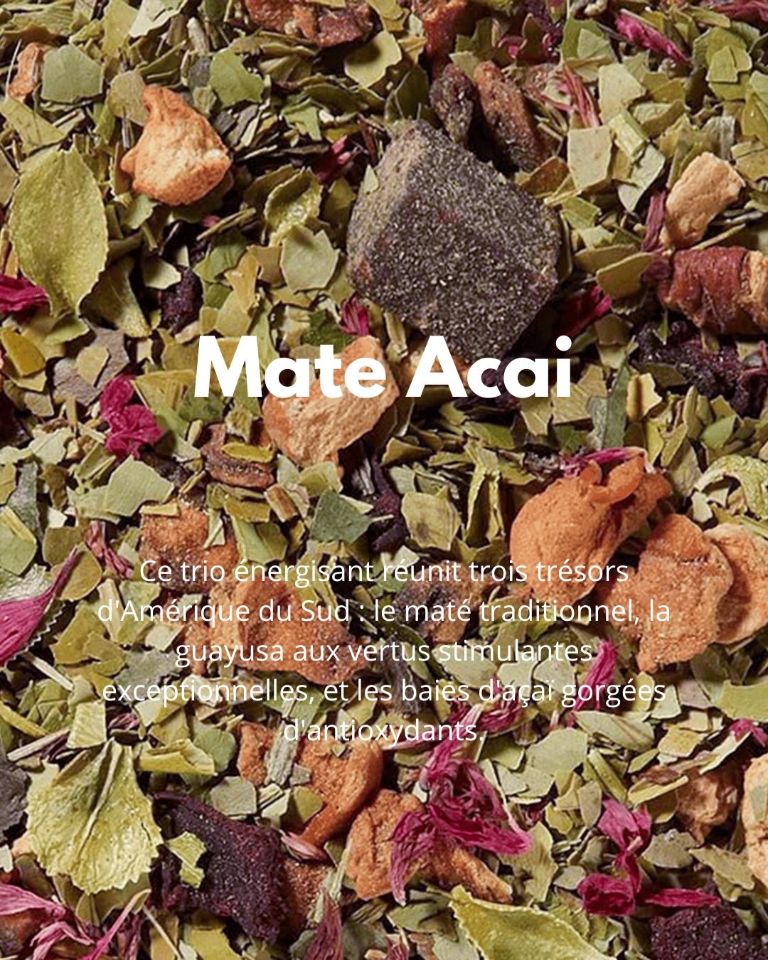 Mate Acai - THÉ - OLOGY