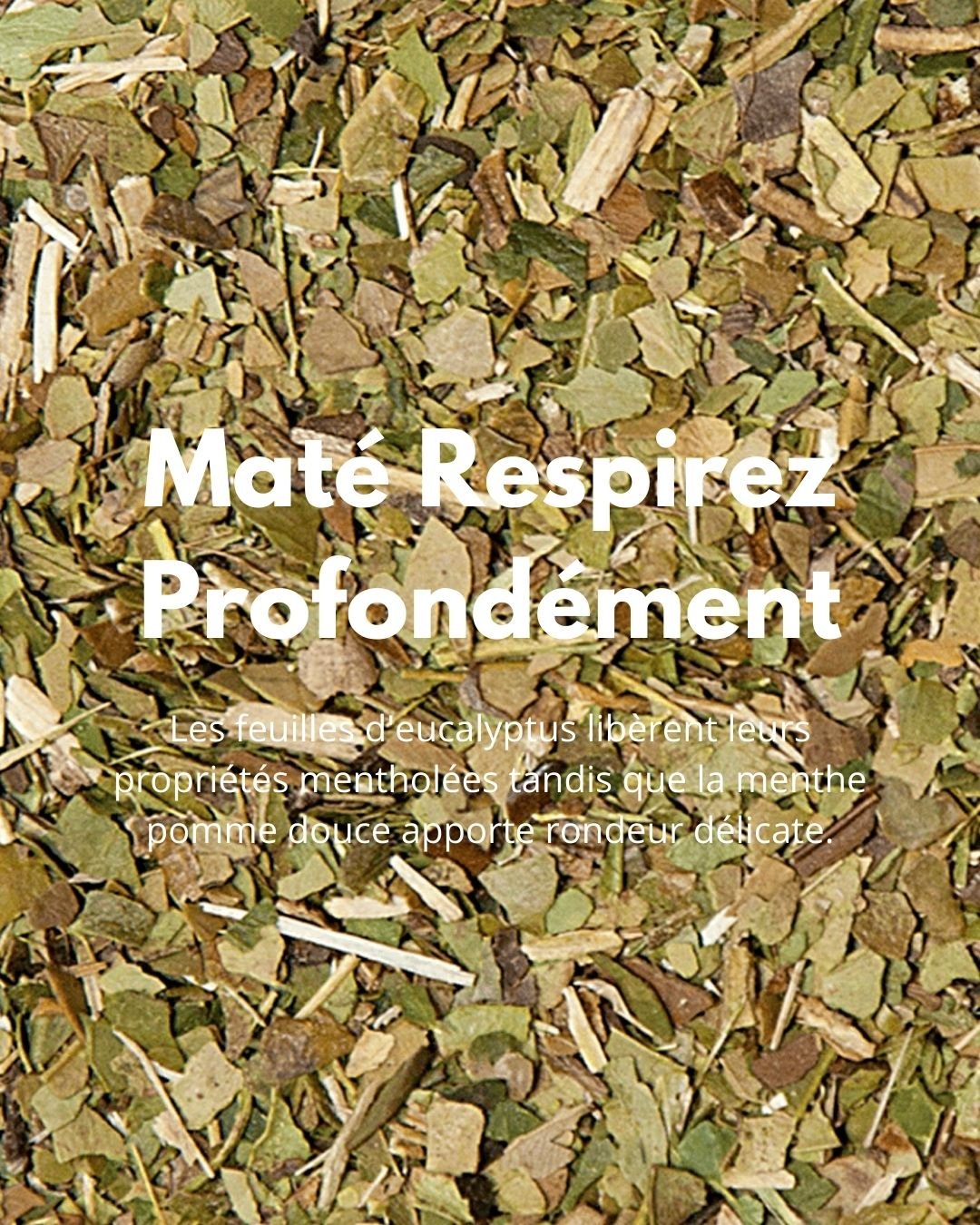 Maté Respirez Profondément - THÉ - OLOGY