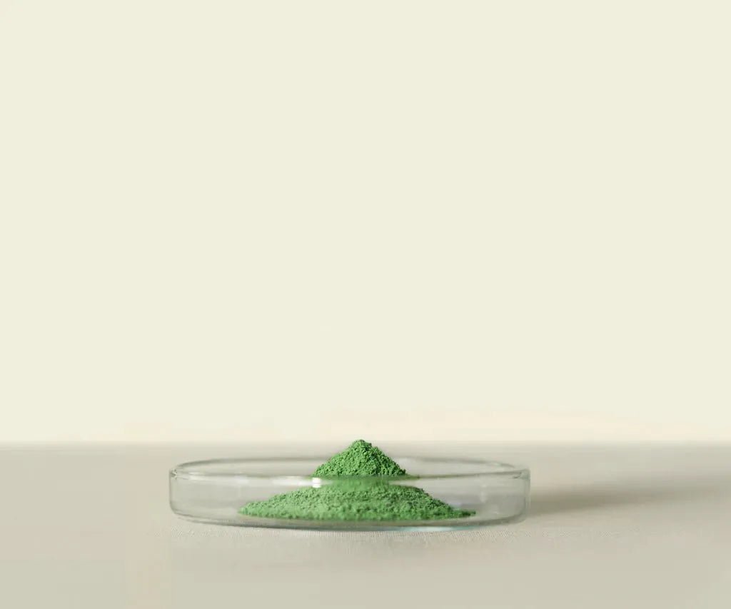 Matsu™ Ceremonial Matcha 20g: Richesse et Arôme Torréfié - THÉ - OLOGY