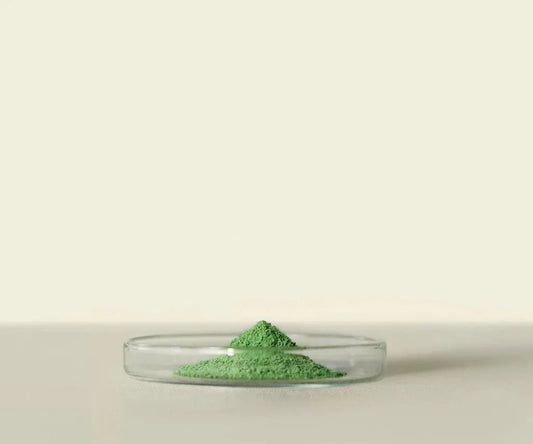 Matsu™ Ceremonial Matcha 20g: Richesse et Arôme Torréfié - THÉ - OLOGY