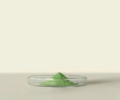 Midori™ Culinary Matcha : Pour une Cuisine Raffinée - THÉ - OLOGY