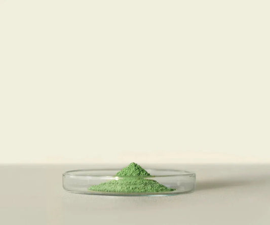 Midori™ Culinary Matcha : Pour une Cuisine Raffinée - THÉ - OLOGY