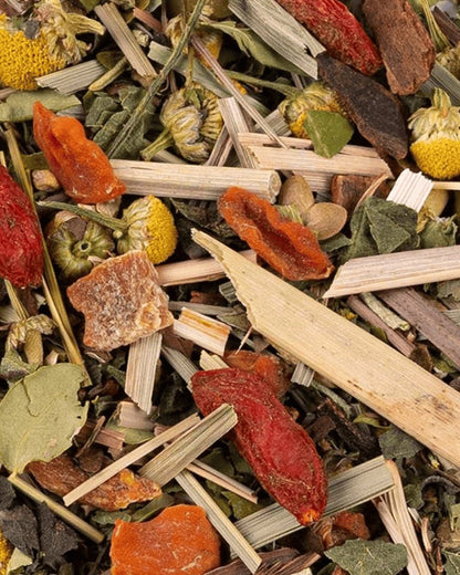 Minttox BIO - THÉ - OLOGY