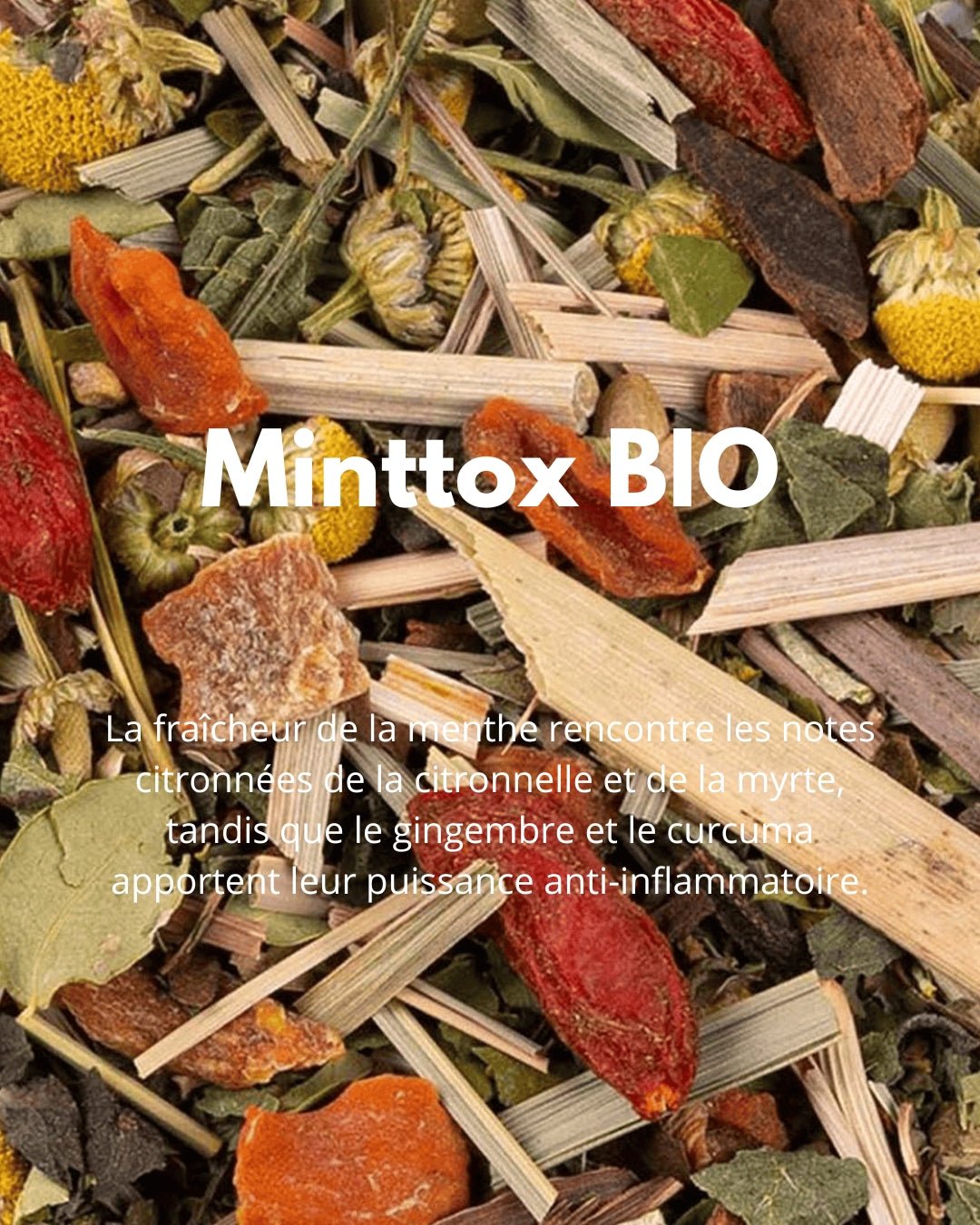 Minttox BIO - THÉ - OLOGY