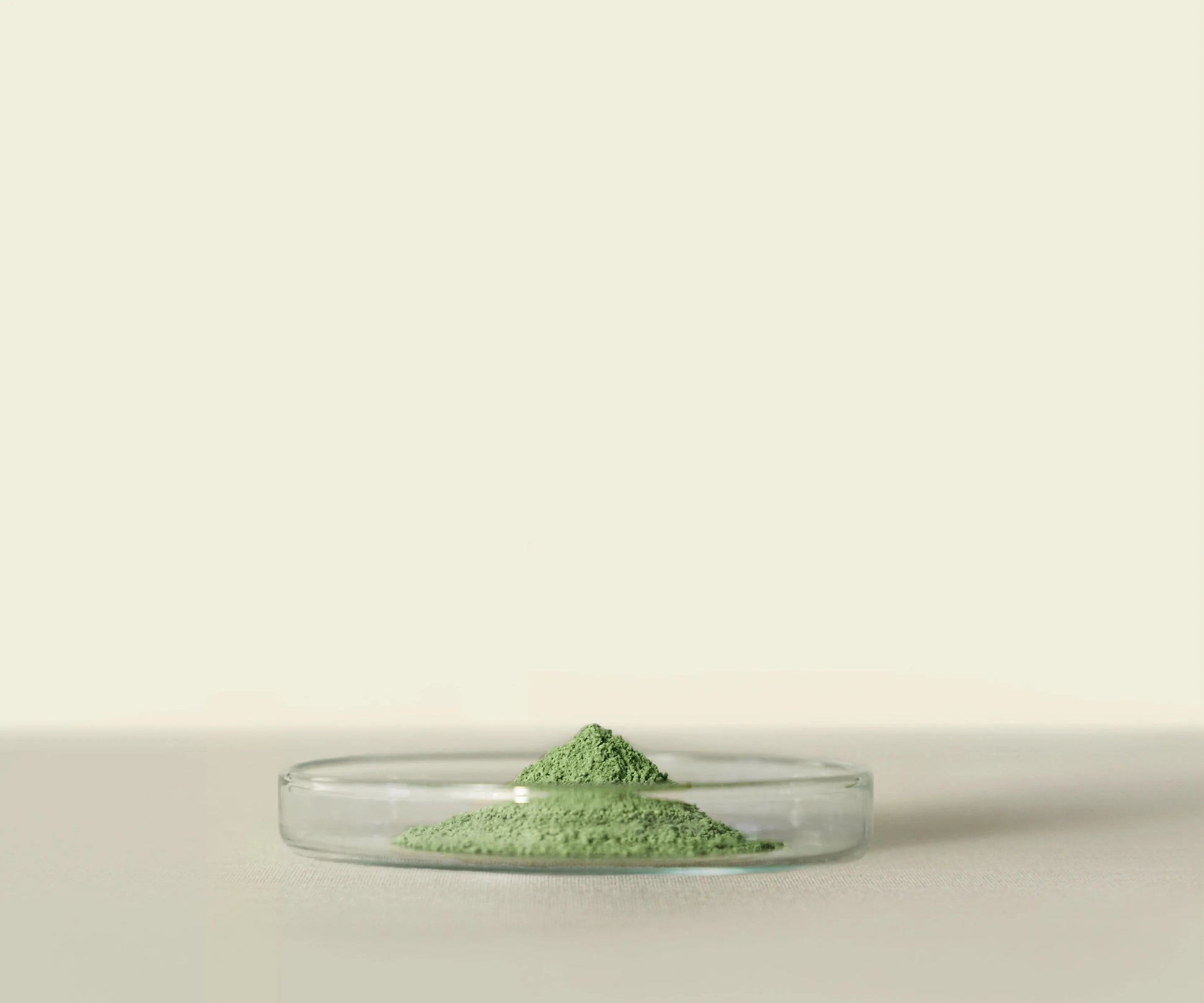 Mirai™ Culinary Matcha 1kg - Idéal pour Desserts - THÉ - OLOGY