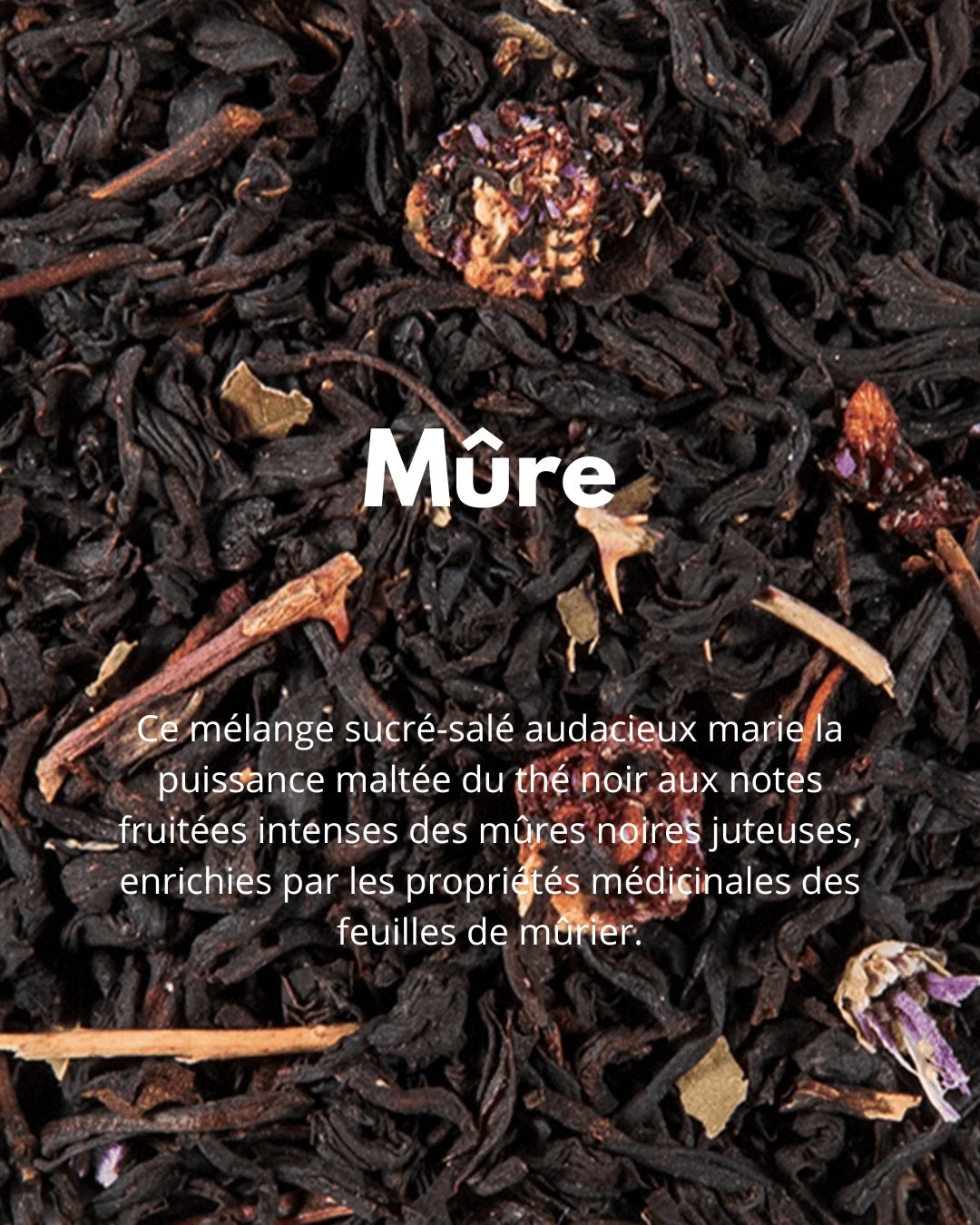 Mûre - THÉ - OLOGY
