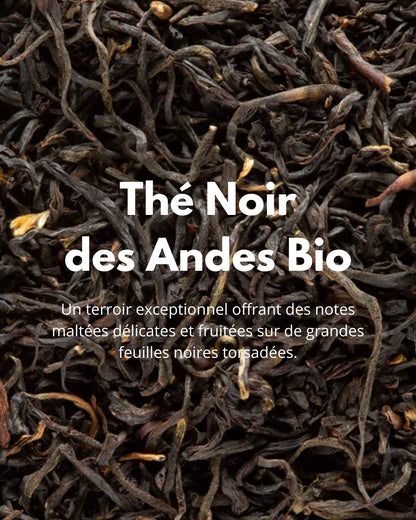 Noir des Andes Bio – thé noir bio en vrac, infusion réconfortante Thé-Ōlogy.