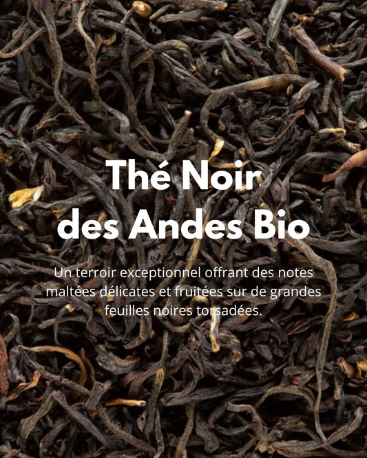 Noir des Andes Bio – thé noir bio en vrac, infusion réconfortante Thé-Ōlogy.