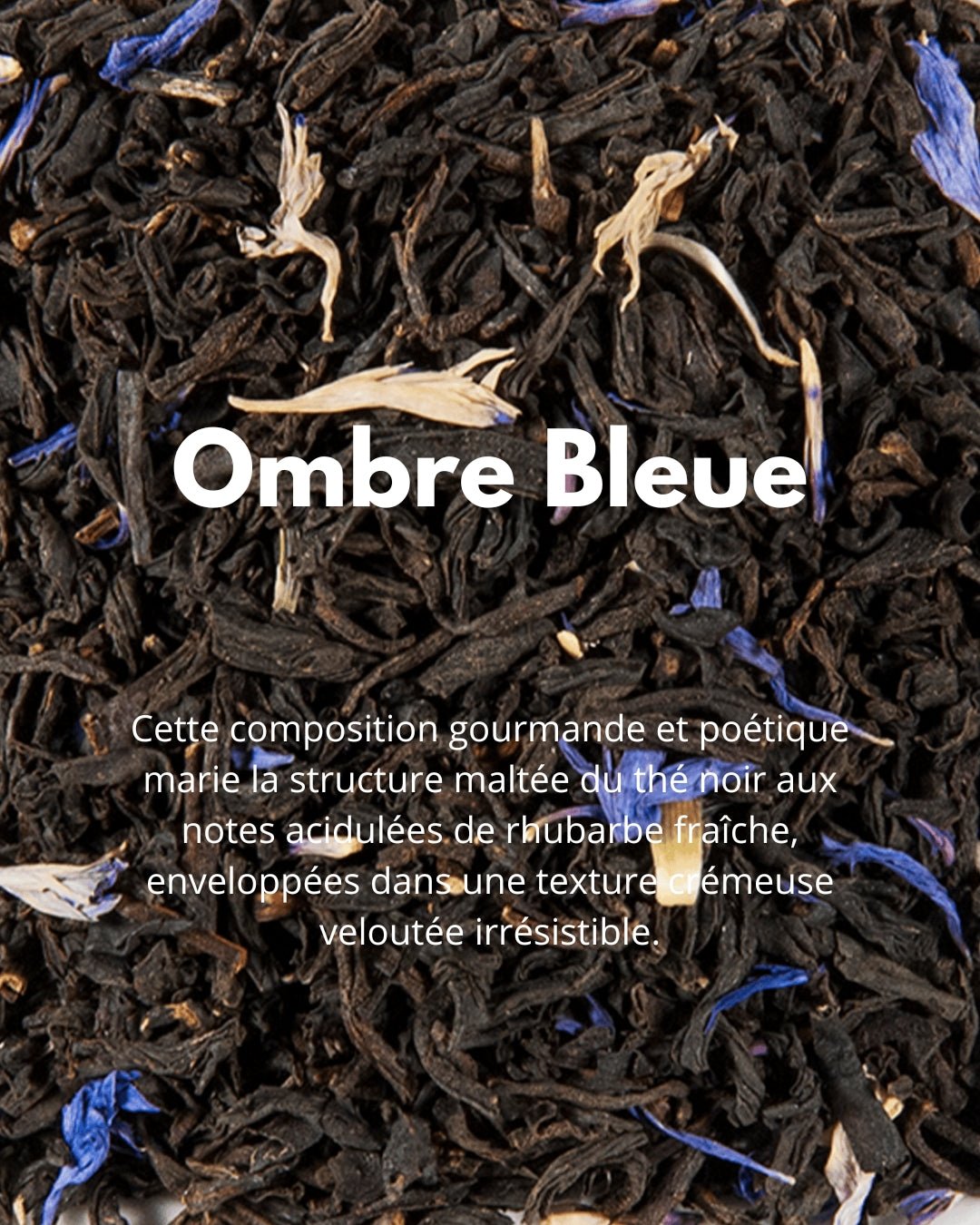 Ombre Bleue - THÉ - OLOGY