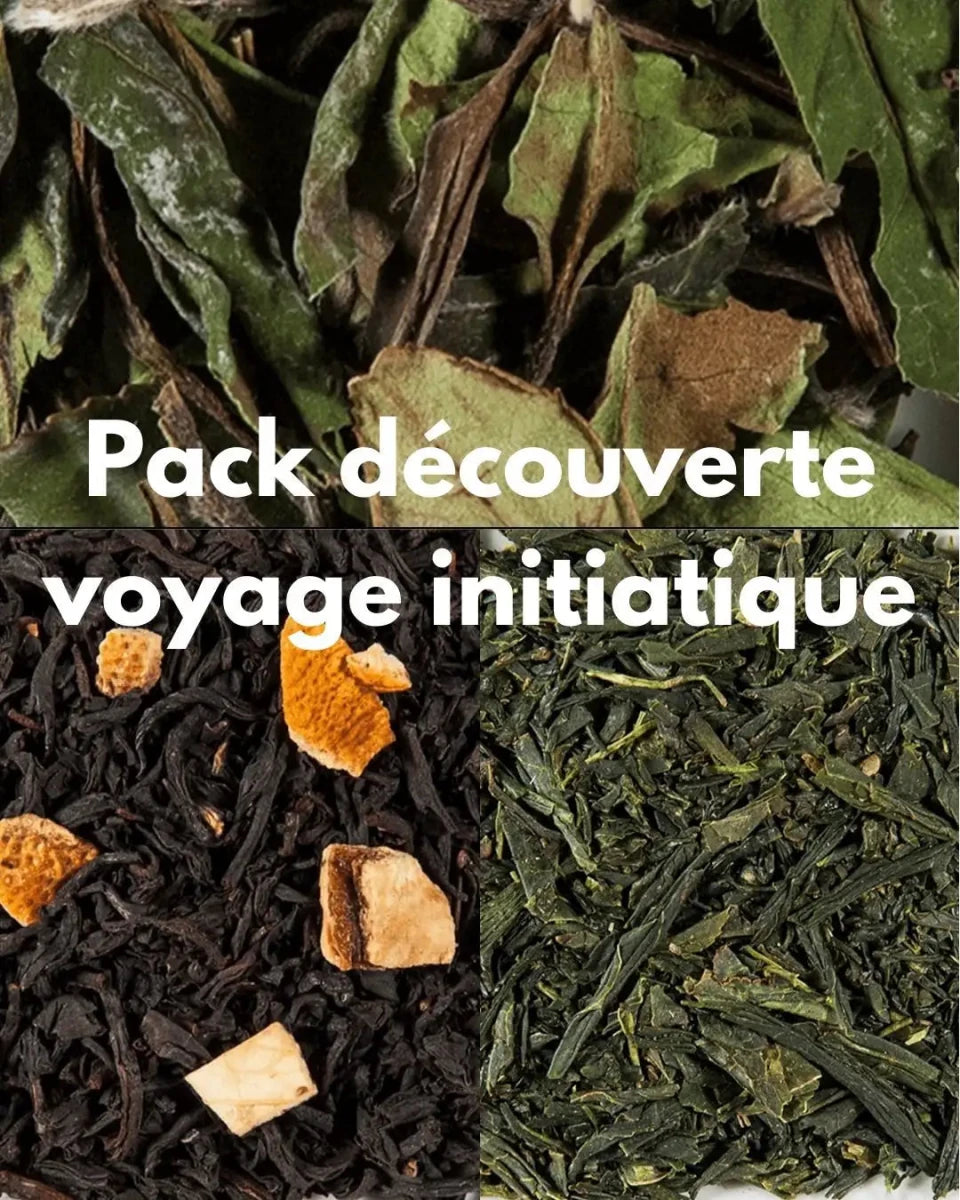 Pack découverte, coffret thé, dégustation, initiation. - THÉ - OLOGY