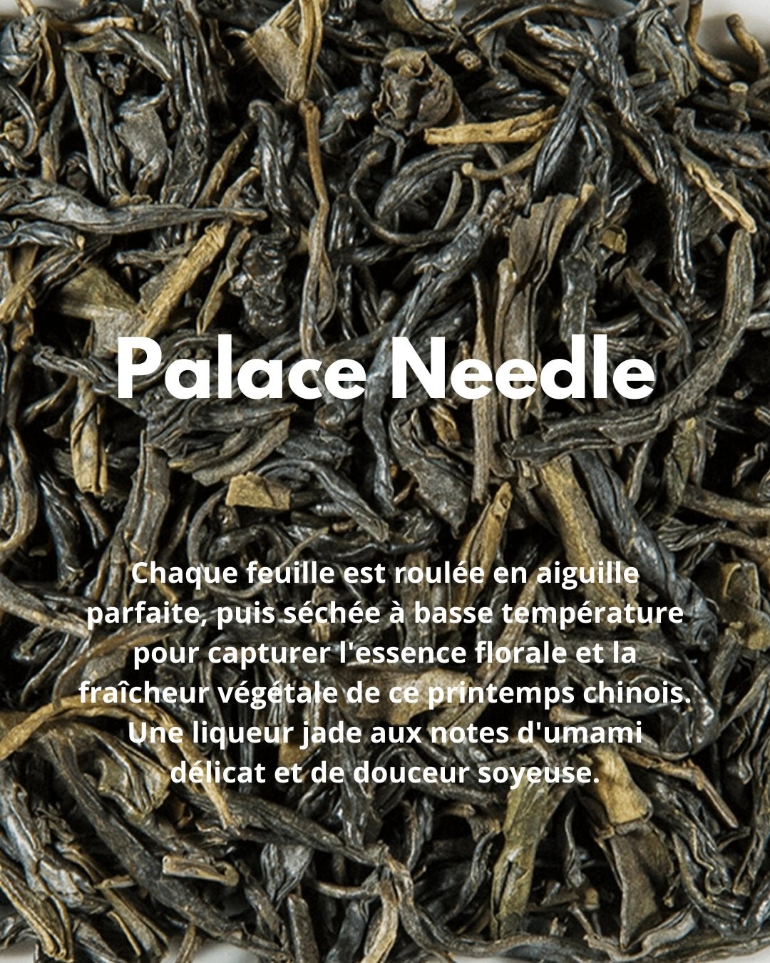 Palace Needle - THÉ - OLOGY