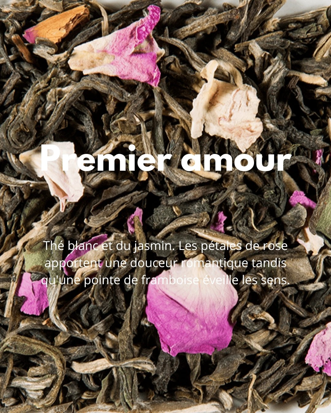 Premier Amour - THÉ - OLOGY