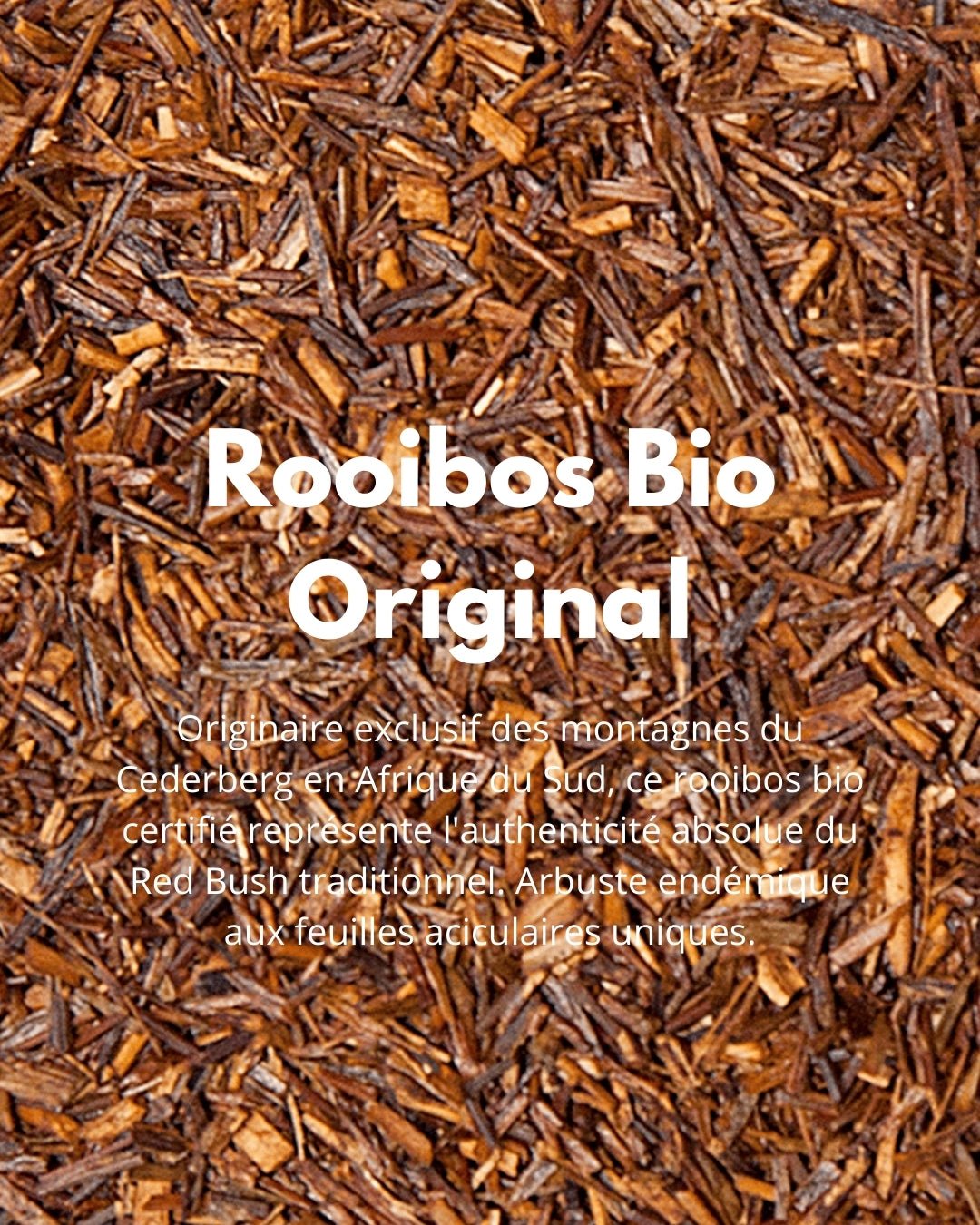 Rooibos Bio Original - THÉ - OLOGY