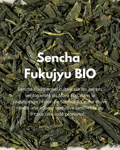 Sencha Fukujyu BIO - THÉ - OLOGY