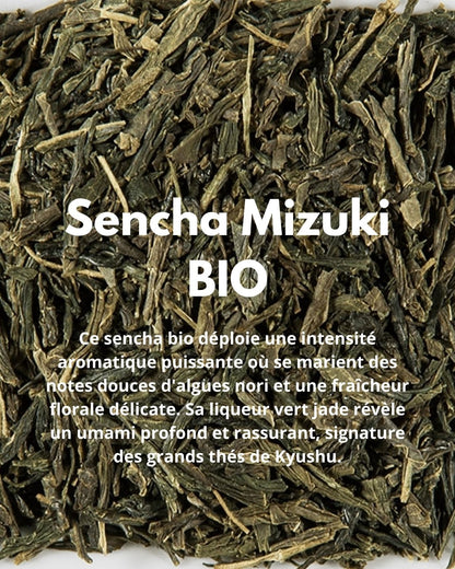 Sencha Mizuki BIO - THÉ - OLOGY