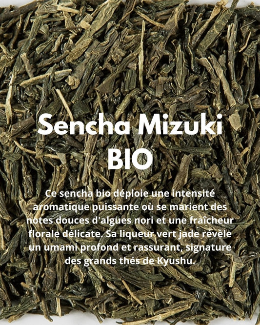 Sencha Mizuki BIO - THÉ - OLOGY