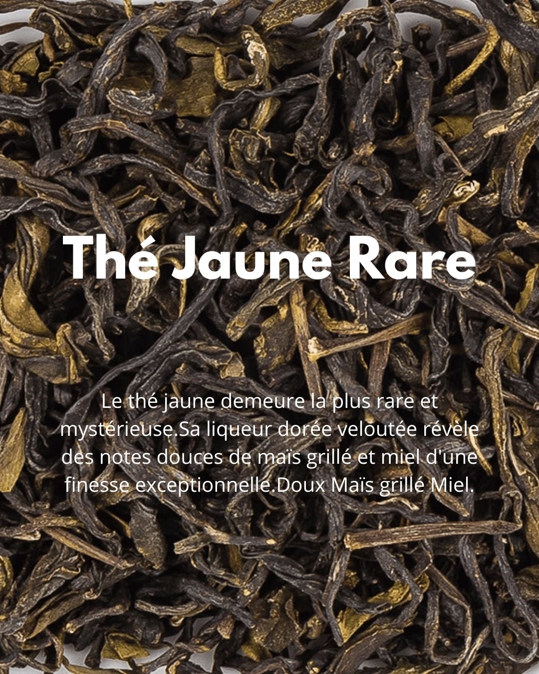 Thé Jaune Rare - THÉ - OLOGY