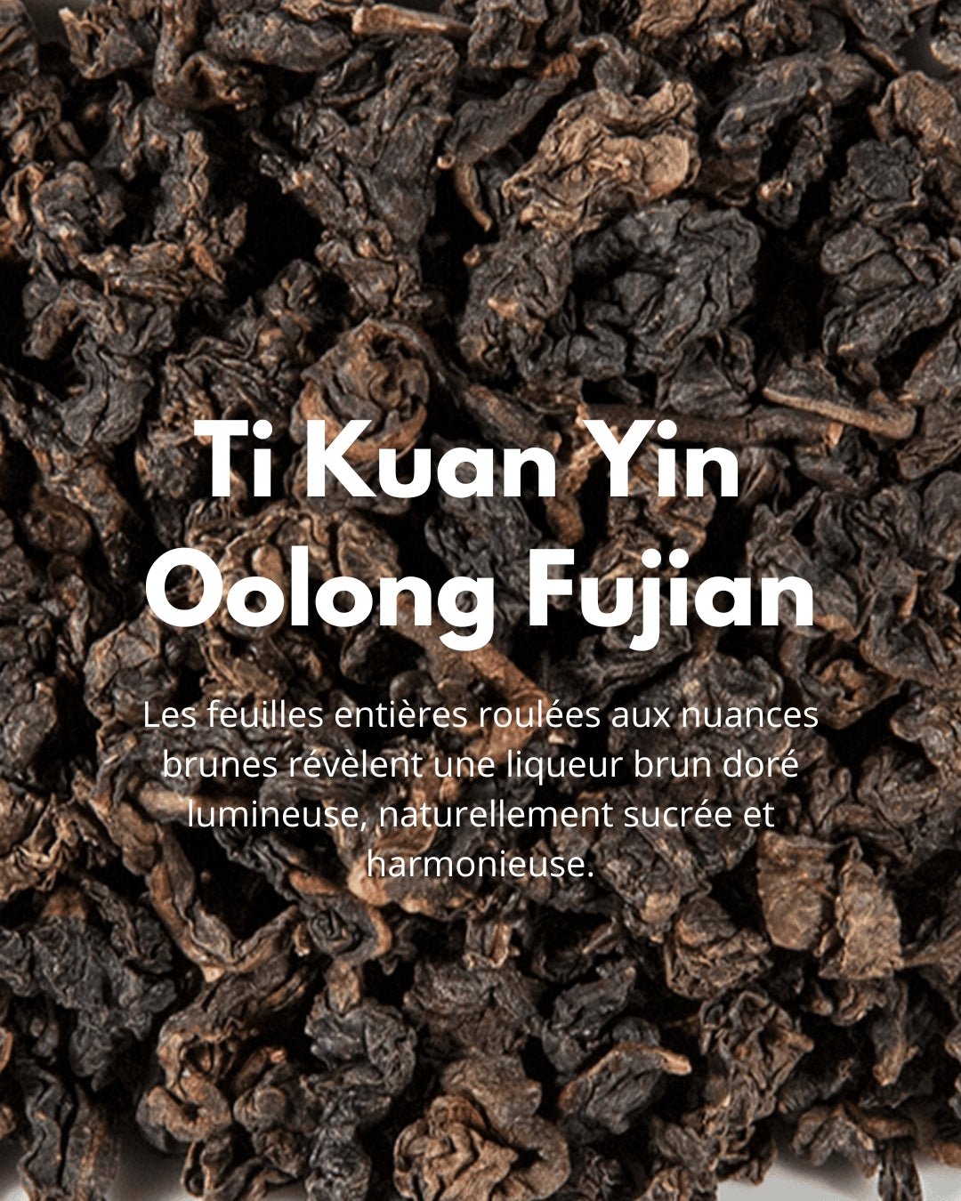 Ti Kuan Yin Oolong Fujian - THÉ - OLOGY