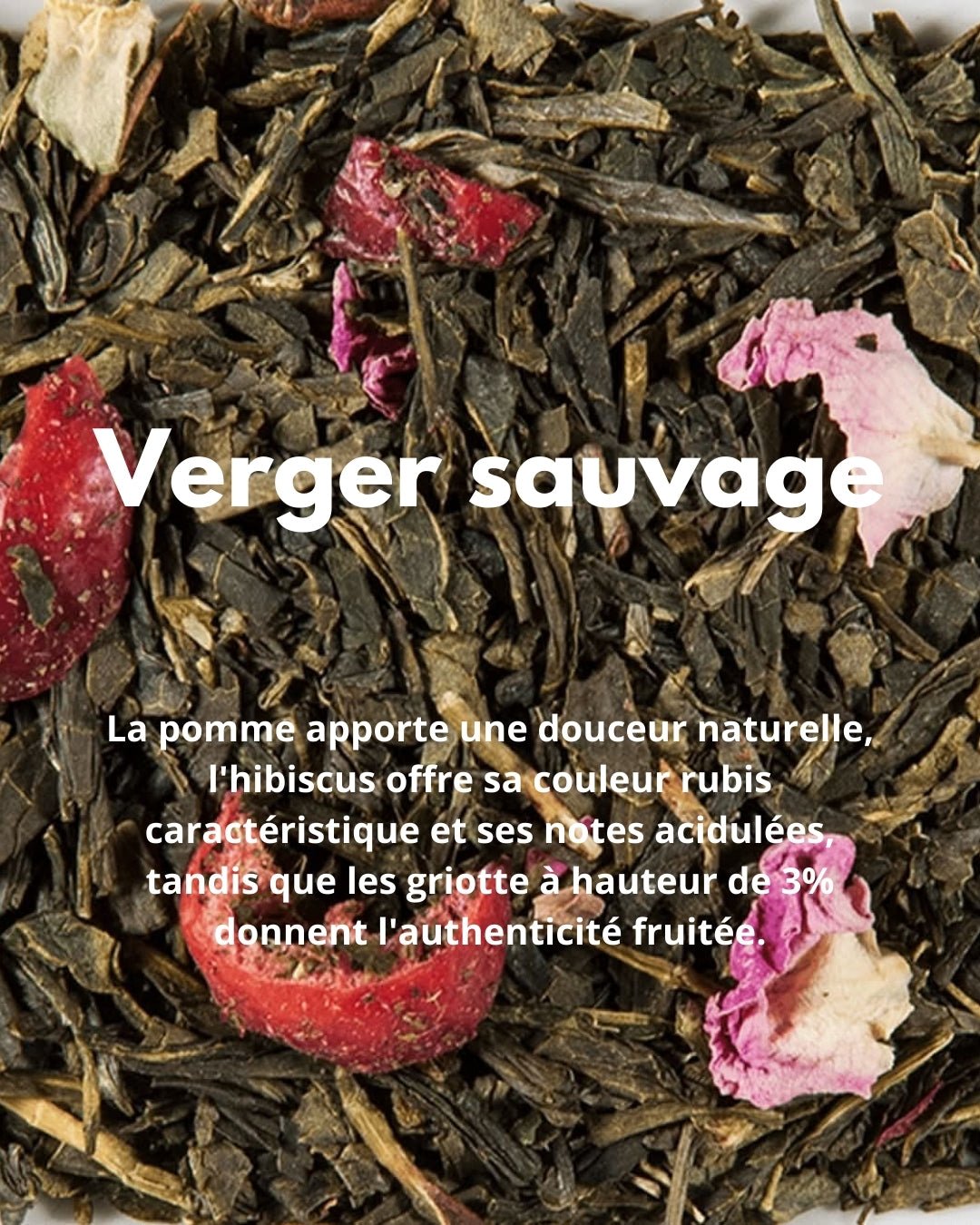 Verger sauvage - THÉ - OLOGY